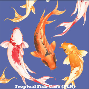 Tropical Fish Care (PLR)