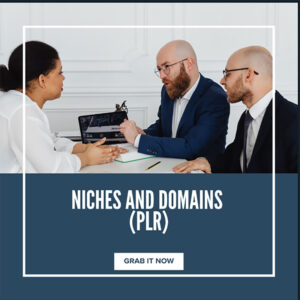 Niche And Domains PLR